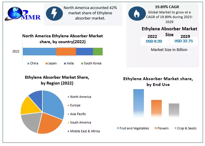 Ethylene Absorber Market: Global Industry Analysis and Forecast 2029