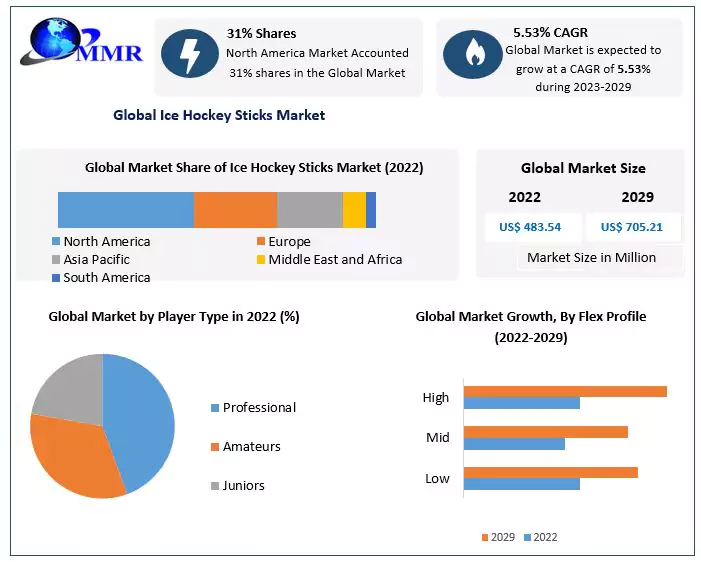 Ice Hockey Sticks Market Global Industry Analysis and Forecast