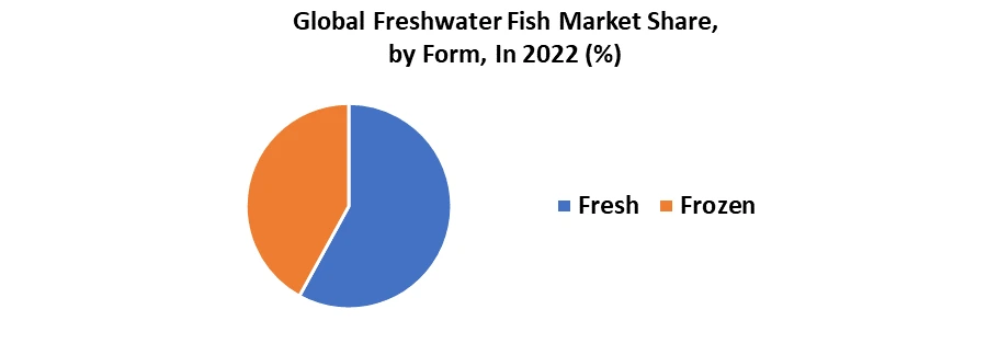 Freshwater Fish Market2