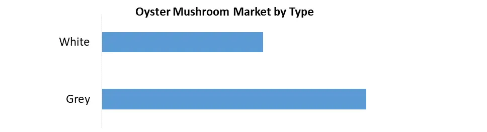 Oyster Mushroom Market1