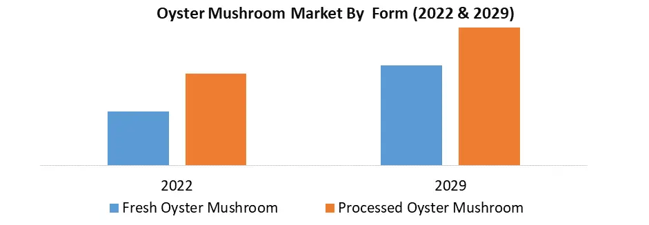 Oyster Mushroom Market2