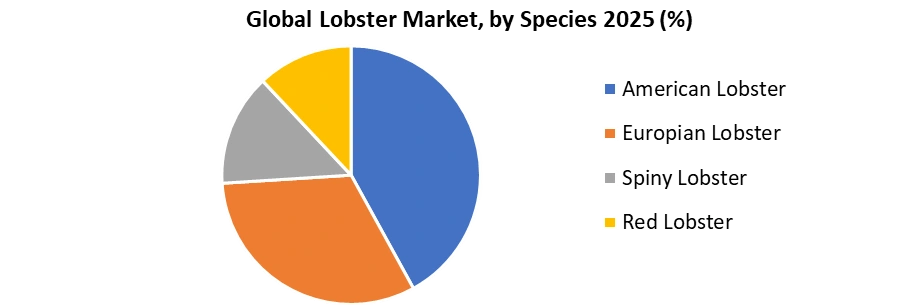 Lobster Market by Species