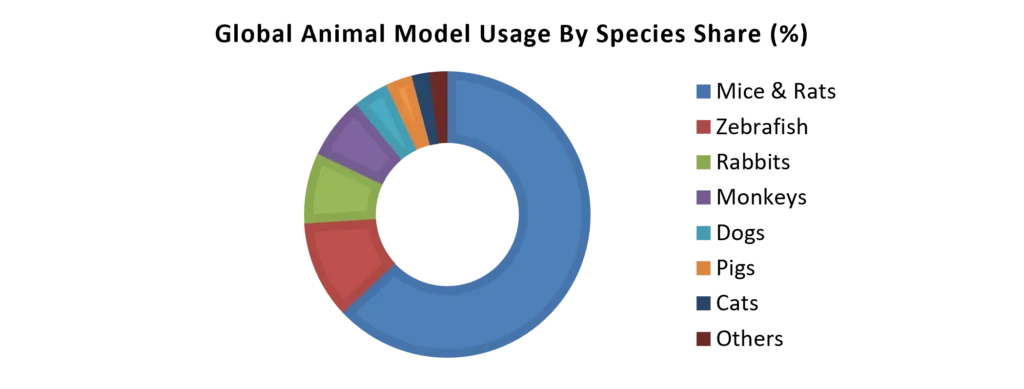 Animal Model Usage by Species Market Share in 2025 (%)