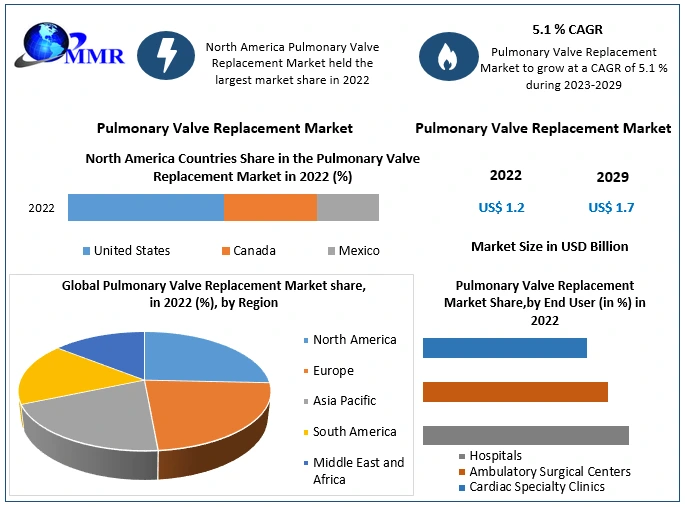 Pulmonary Valve Replacement Market