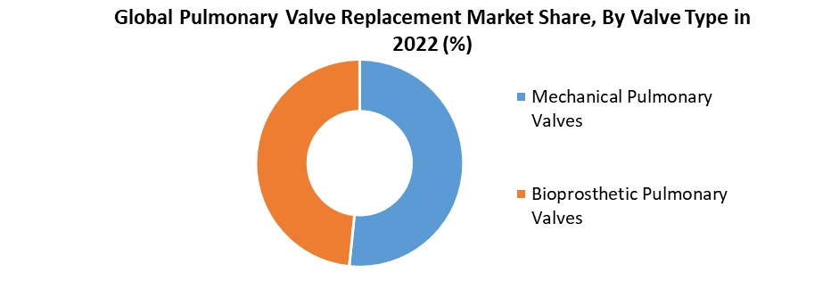 Pulmonary Valve Replacement Market2