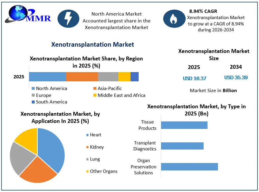 Xenotransplantation Market growth