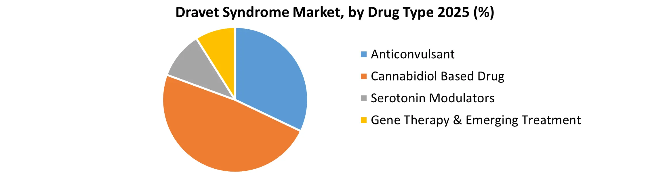 Dravet Syndrome Market
