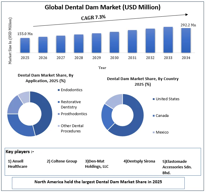 Dental Dam Market size