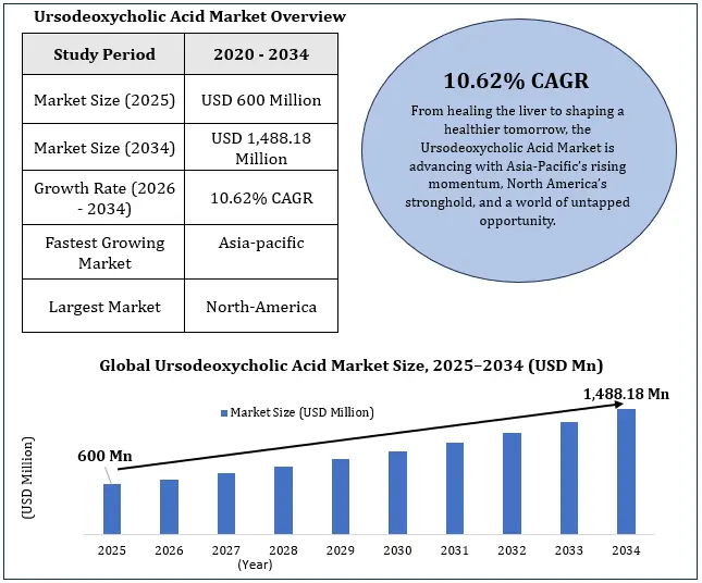 Ursodeoxycholic Acid Market Size