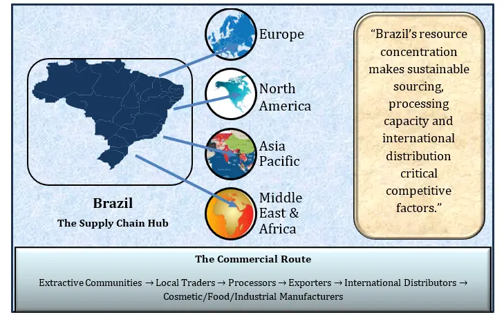 Brazil-to-Global Supply Chain Map