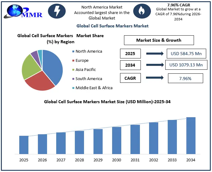 Cell Surface Markers Market Growth