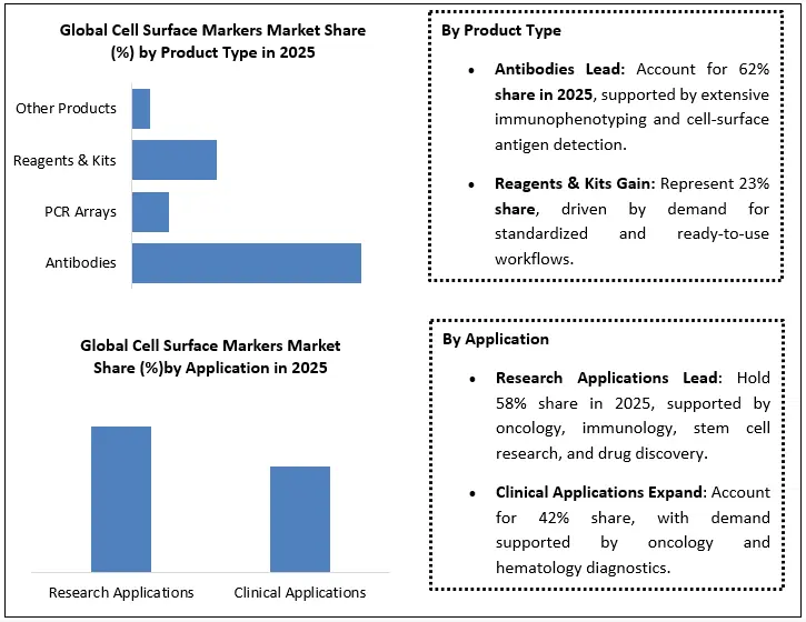 Cell Surface Markers Market Segment Analysis