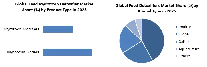 Feed Mycotoxin Detoxifier Segment Analysis