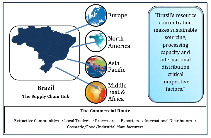 Global Babassu Oil Market Brazil to Global Supply Chain Map